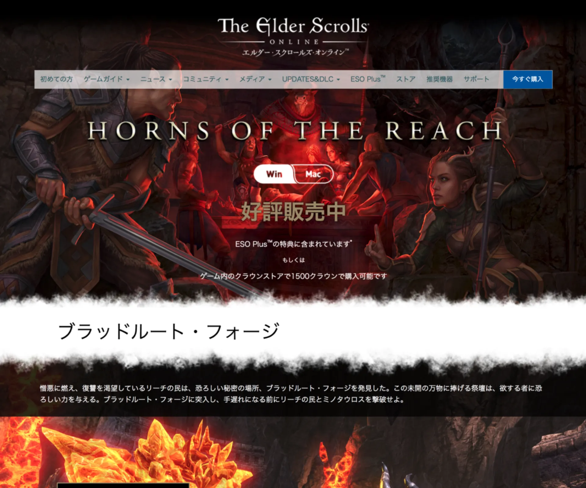 The Elder Scrolls Online